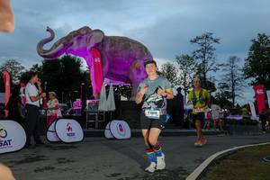 BIB: 
                            <button type="button" onclick="openModal(26529585)" class="btn btn-primary btn-sm float-right btn-popup" data-toggle="modal" data-target=".modal-high-quality">
                        <i class="fas fa-shopping-cart"></i> Add to Cart
                    </button>
                                            <button type="button" onclick="isThisMe(26529585, true)" class="btn btn-success btn-sm float-right btn-popup btn-isme hidden" data-toggle="tooltip" data-placement="bottom" title="นี่คือรูปของคุณใช่ไหม คลิกที่นี่เพื่อเอาเข้าอัลบั้ม">
                        <i class="fas fa-plus"></i> Add to album
                    </button>
                    <button type="button" onclick="isThisMe(26529585, false)" class="btn btn-warning btn-sm float-right btn-popup btn-isnotme hidden">
                        <i class="fas fa-ban"></i> Remove from album
                    </button>